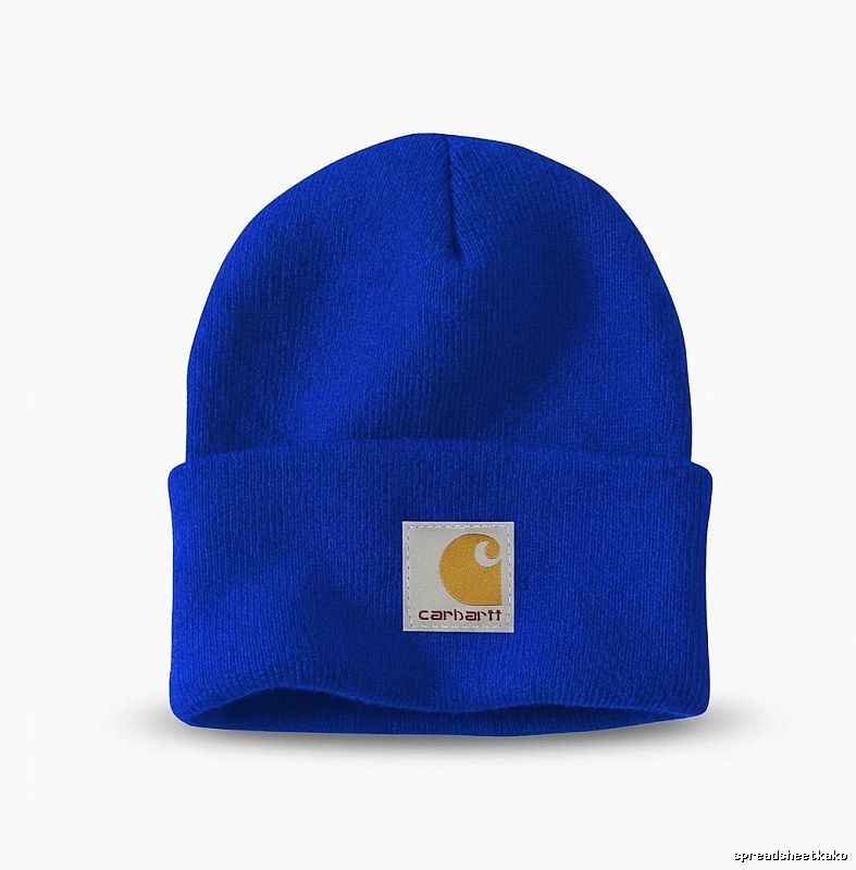 Carhartt basic blue beanie
