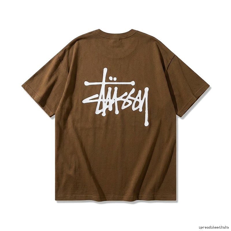 Stussy street style brown T-shirt