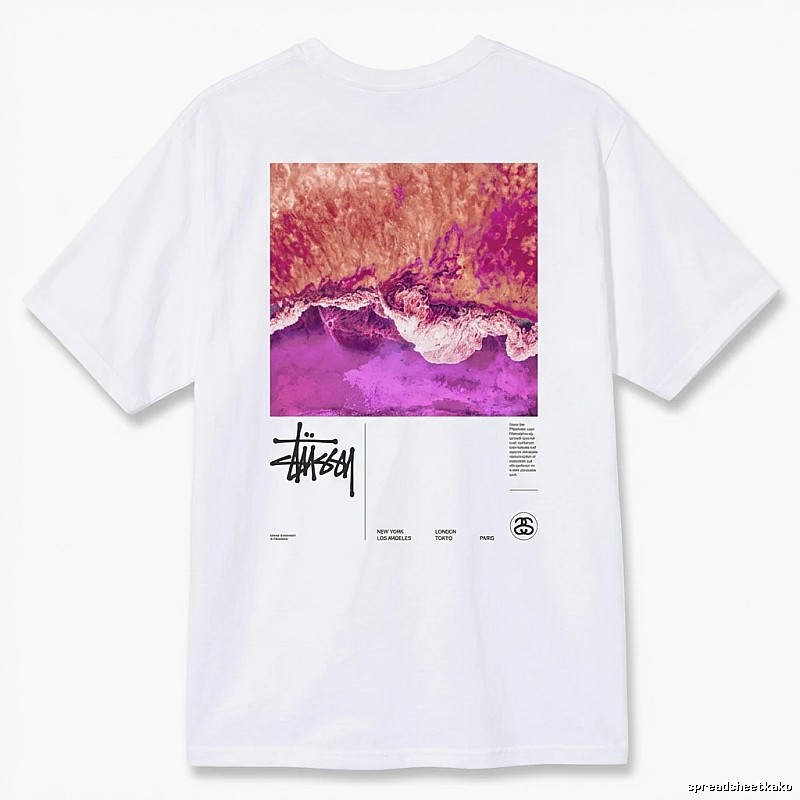 Stussy wave - printed white T - shirt